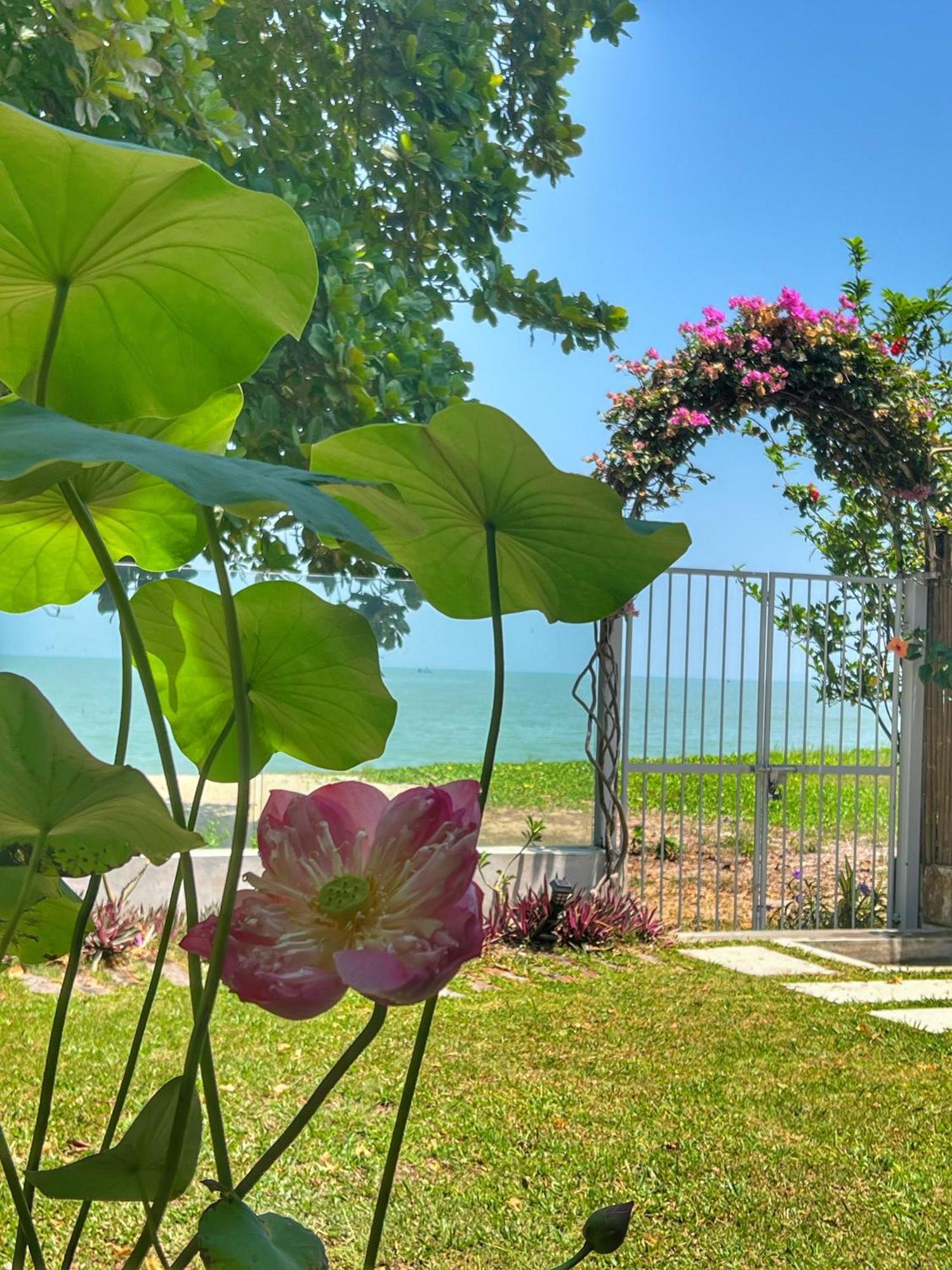 Smell Rose Beach Garden Batu Feringgi Ngoại thất bức ảnh